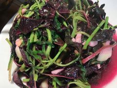 上汤苋菜-邻家小馆(银都店)