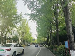 -成都市活水公园