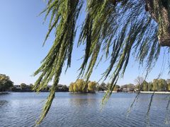 -方砖厂69号炸酱面(方砖厂胡同店)