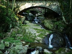 -藏龙百瀑风景区