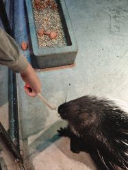 -酷嗒动物文化乐园(cutezoo西溪乐天城店)