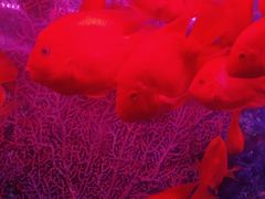 -大明湖海底世界