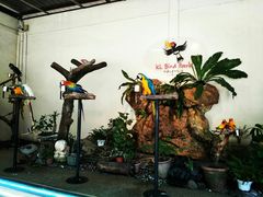 -吉隆坡雀鸟公园