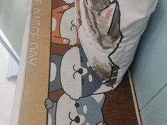 -纳吉亚猫专科动物诊疗中心(蒋宅口分院)