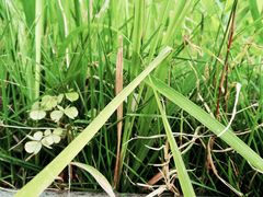 -南昌之星游乐场