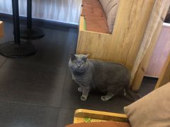-ひみ冰见日本料理(旅顺九三路店)