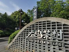 -龙坞茶村