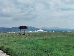 -敕勒川草原