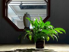 -金谷里艺术馆