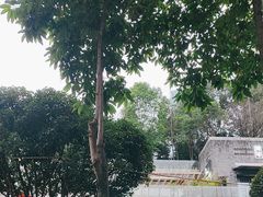 -御盛苑富隆汇·传承川菜·商务简餐(江北嘴店)