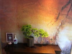 -雪绒花月子会所(祥盛店)