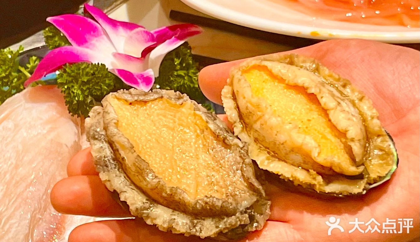 春天到来山茶花开🍃好配辣辣的火锅串串‼️