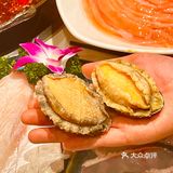 春天到来山茶花开🍃好配辣辣的火锅串串‼️