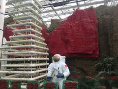 -兰陵国家农业公园