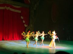 -珠海横琴长隆《卡卡虎奇遇记》