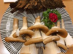 新鲜猪肚菌-湯系·煲汤手艺人(东二环泰禾广场店)