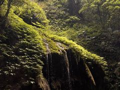 -青城山