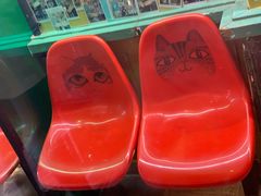 -猫咪博物馆(顶澳仔猫街店)