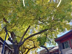 -古耳咖啡(北锣店)