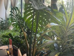 -太守宴·蘭院(天塔店)