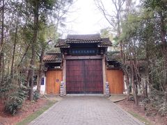 -上海海湾国家森林公园