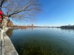 -济南大明湖景区
