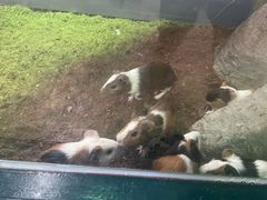 -福州罗源湾海洋世界旅游区