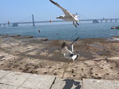 -星海广场
