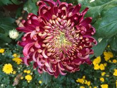 -上海市龙华烈士陵园