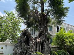 -荔湾博物馆