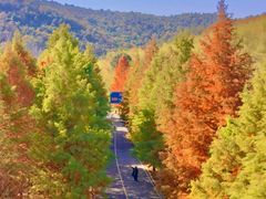 -南京市无想山景区