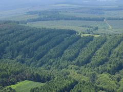 -帽儿山国家森林公园