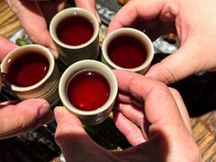 -并州大牌档之醉轻尘