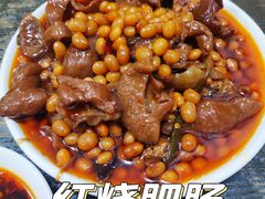 红烧肥肠-豆花饭(新华路店)