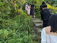 -广东惠东海龟国家级自然保护区