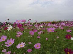-苏州吴中太湖旅游区