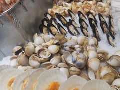 -沈阳和平艾美酒店新食谱西餐厅