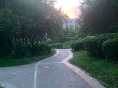-小唐小四川水煮鱼(北三路店)
