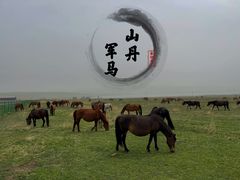 -山丹皇家马场