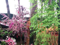 -园林美食城·本土农家菜(杨和镇店)