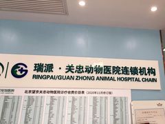 -瑞派·关忠动物医院·异宠专科·犬猫肿瘤·皮肤专科(望京店)