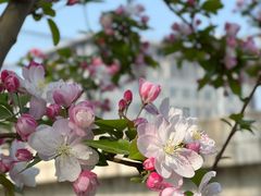 -元大都城垣遗址公园