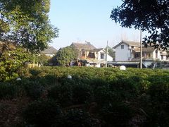 android_upload_pic-西湖茶墅