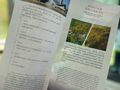 -盐城丹顶鹤湿地生态旅游区