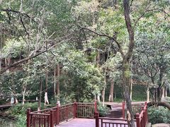 -杭州半山国家森林公园