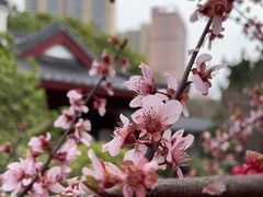 -堤角公园