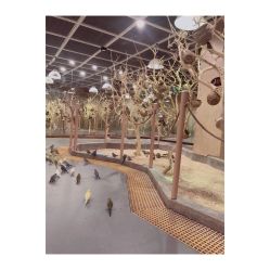 -七巧国萌宠乐园(龙湖天街店)