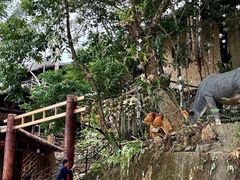 -海南槟榔谷黎苗文化旅游区