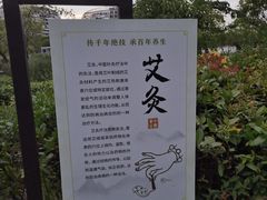 -海天湖公园
