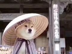 -上海长途客运南站